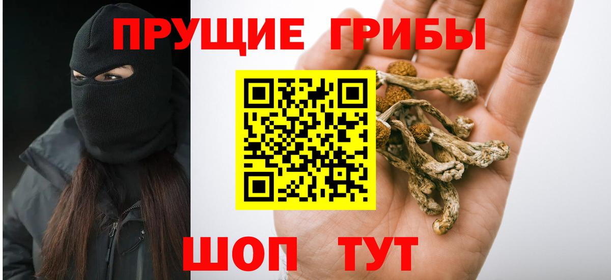Галлюциногенные грибы Magic Shrooms  Галлюциногенные грибы Magic Shrooms  Сафоново  купить  сайты  Вход с VPN 